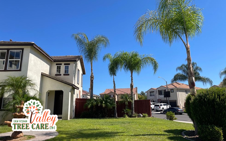 Hillside Clearing & Fire Safety Services in Eaton Hurst